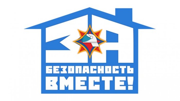 Профилактическая акция "За безопасность вместе"