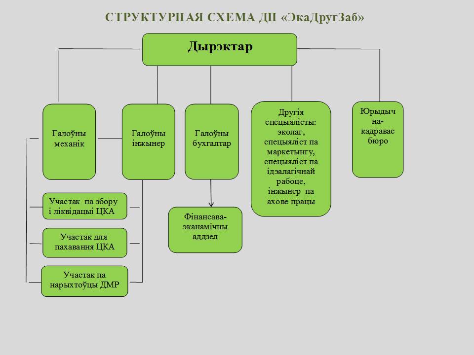 структура бел.jpg структура бел.jpg
